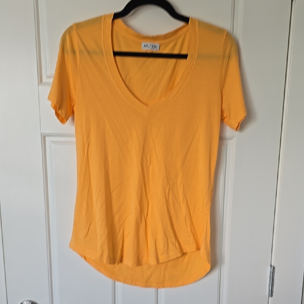 Aritzia Mango Fitted Short Sleeve Tee